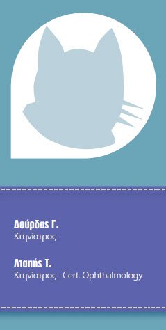 Διαπυελική ουρηθροστομία σε τρεις γάτους